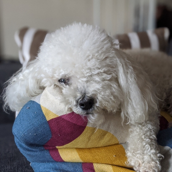 Meet your Posher, - Picture 2 of 5